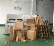 Máquina de Corte Automático de Amostras de Caixas de Cartão de Passagem Única PRY-1800 9