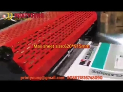 Série de SGUV máquina de revestimento UV semi automática ou em linha vitrificando do ponto completo